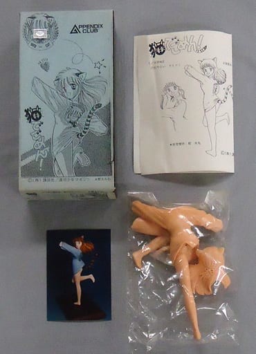 Yayoi Shiraishi, Neko De Gomen!, Appendix Club, Garage Kit, 1/8