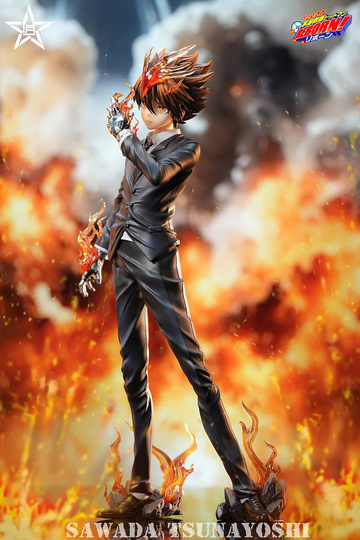 Sawada Tsunayoshi (Tsunayoshi Sawada), Katekyo Hitman Reborn!, Individual Sculptor, Pre-Painted, 1/6