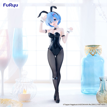 Rem (Bicolor), Re: Zero Kara Hajimeru Isekai Seikatsu, FuRyu, Pre-Painted