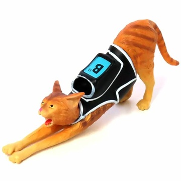 Cat (Stretching), Stray, Unknown, Trading