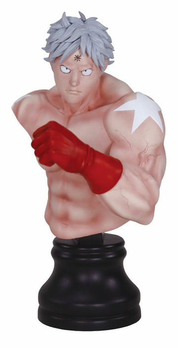 Terryman (No.2), Kinnikuman, CCP, Pre-Painted