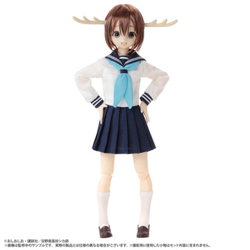 Shikanoko Noko (No．162), Shikanoko Nokonoko Koshitantan, Azone International, Action/Dolls, 1/6