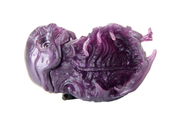 Kowaretautsuwa (purple), SOTA, Model Kit