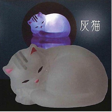 Cat (Ash cat), Unknown, Trading