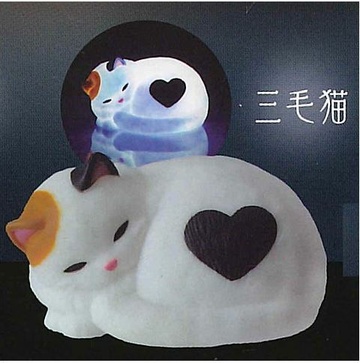 Cat (Calico cat), Unknown, Trading