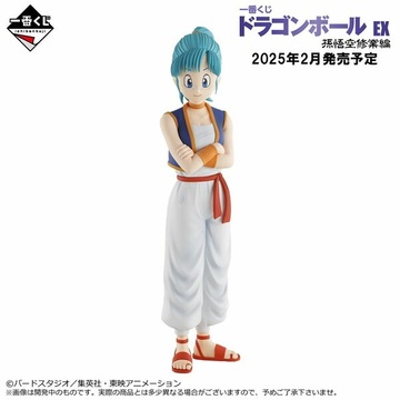 Bulma Briefs (Bulma), Dragon Ball, Bandai Spirits, Pre-Painted