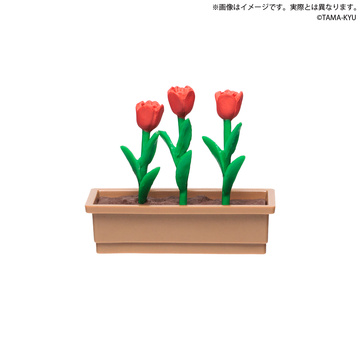 Tulip (Red), Unknown, Trading