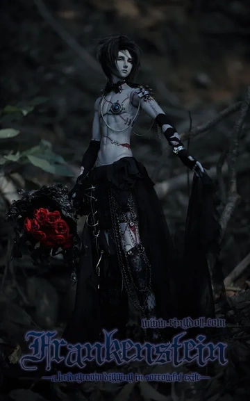 Frankenstein, Unknown, Action/Dolls, 1/3