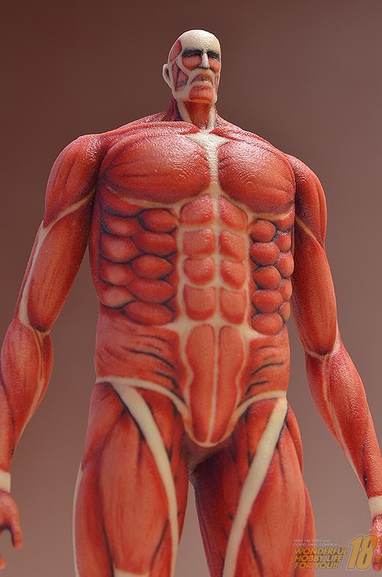 Colossal Titan, Shingeki No Kyojin, Max Factory, Action/Dolls