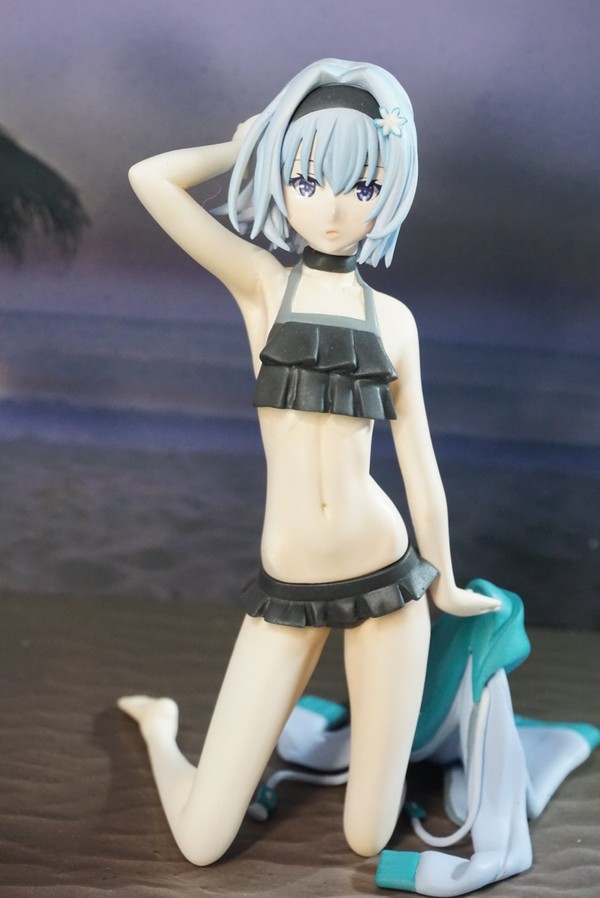 Sora Ginko (Swimsuit), Ryuo No Oshigoto!, Seikouudokubu, Garage Kit