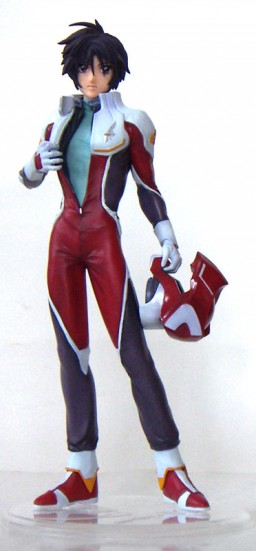 Shinn Asuka (RAH DX Limited Edition), Kidou Senshi Gundam SEED Destiny, MegaHouse, Pre-Painted, 1/8