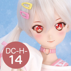 DC-H-14 / DDH - 14 Pre-painted Head, Volks, Accessories, 1/3