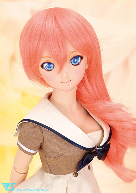 DDH - 15 Pre-painted Head, Volks, Action/Dolls