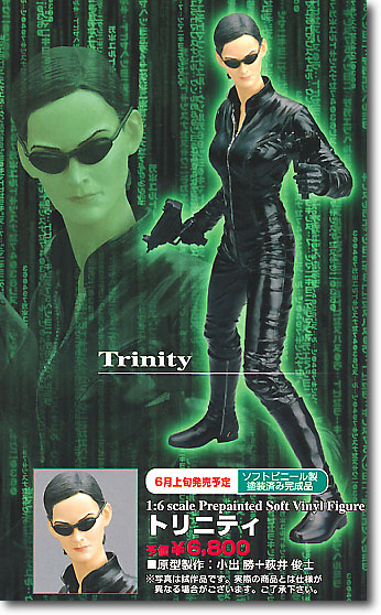 Trinity, The Matrix Reloaded, Kotobukiya, Pre-Painted, 1/6