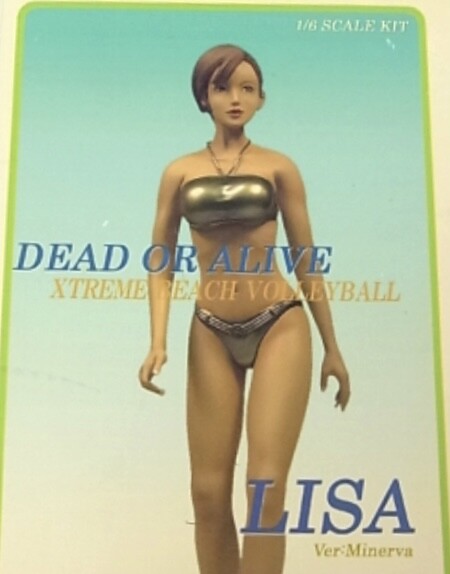 Lisa, Dead Or Alive Xtreme Beach Volleyball, Tecmo, Garage Kit, 1/6