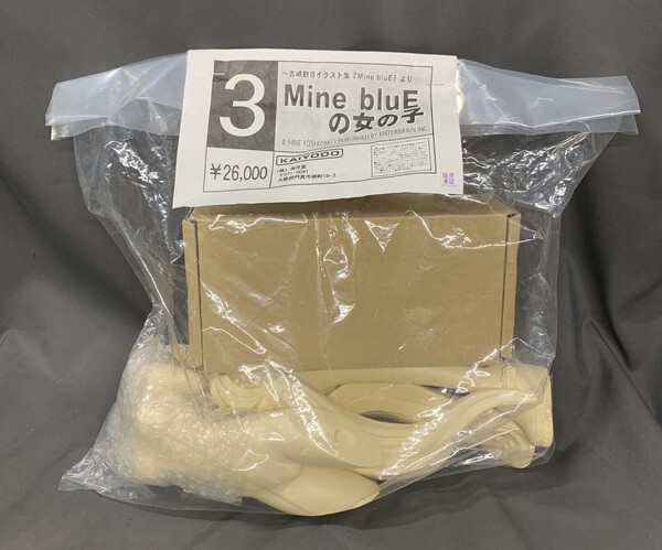 Mine Blue #00 Private Material, Kaiyodo, Enterbrain, Garage Kit