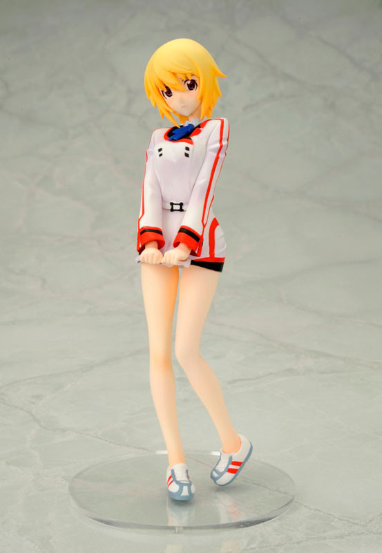 Charlotte Dunois, IS: Infinite Stratos, Media Factory, Pre-Painted, 1/10, 4935228111923