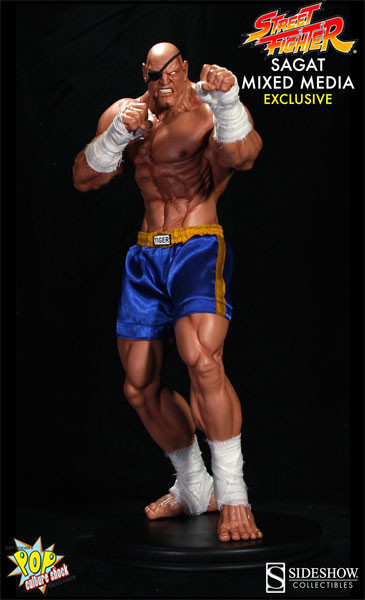 Sagat (Sideshow Exclusive), Street Fighter, Premium Collectibles Studio, Pre-Painted, 1/4