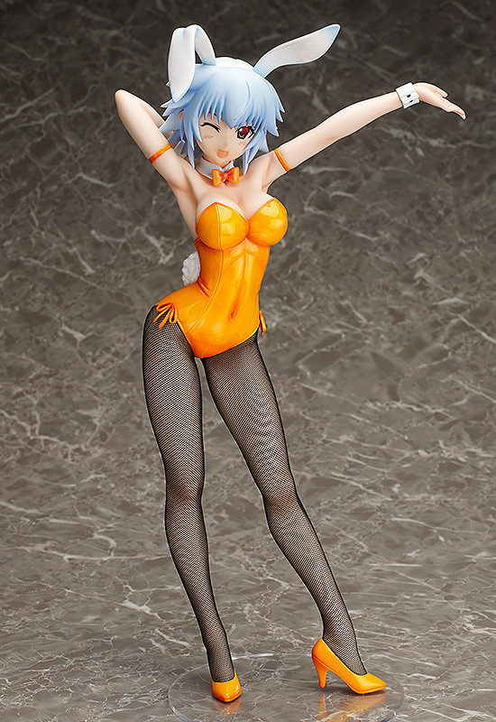 Sarashiki Tatenashi (Bunny), IS: Infinite Stratos, FREEing, Pre-Painted, 1/4, 4571245296092