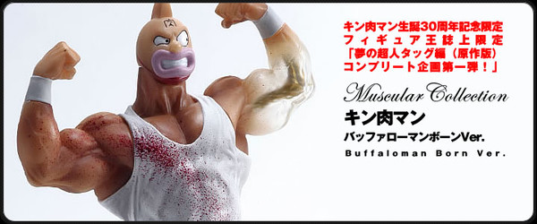 Kinnikuman (Kinnikuman 30th Anniversary, Buffaloman bone), Kinnikuman, CCP, Pre-Painted