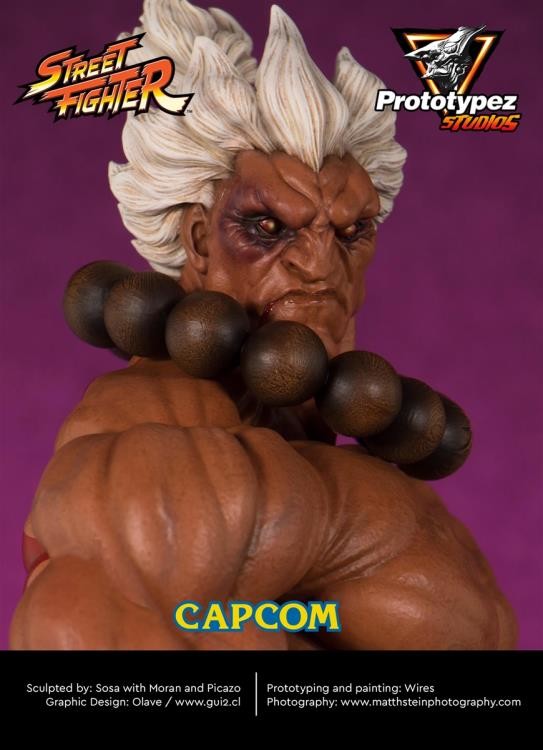 Shin Gouki, Street Fighter, PrototypeZ Studios, Pre-Painted, 1/4