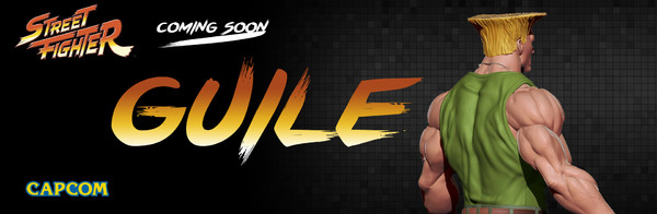 Guile, Street Fighter II, PrototypeZ Studios, Pre-Painted, 1/4