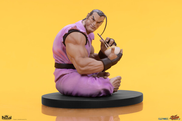 Hibiki Dan, Street Fighter, Premium Collectibles Studio, Pre-Painted, 1/10