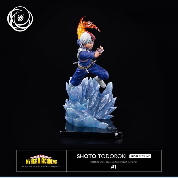 Todoroki Shoto (Regular Edition), Boku No Hero Academia, Tsume, Pre-Painted, 1/6