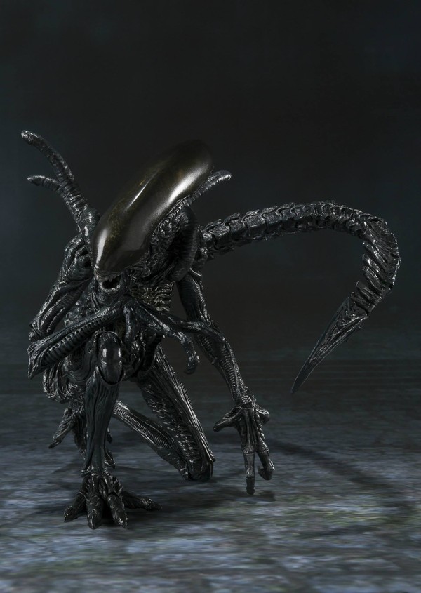 Alien Warrior, Alien Vs Predator, Bandai, Action/Dolls, 4543112851765