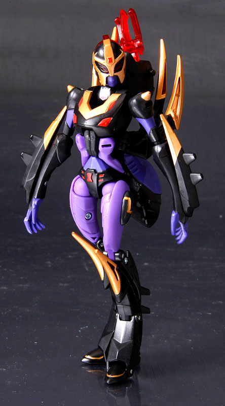 Blackarachnia, Transformers Animated, Takara Tomy, Action/Dolls, 4904810377023