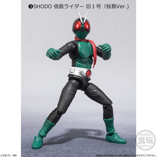 Kamen Rider Ichigo (Sakurajima), Kamen Rider, Bandai, Action/Dolls, 4549660251378